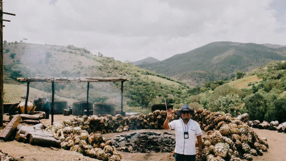 Mezcal Oaxaca Palenque